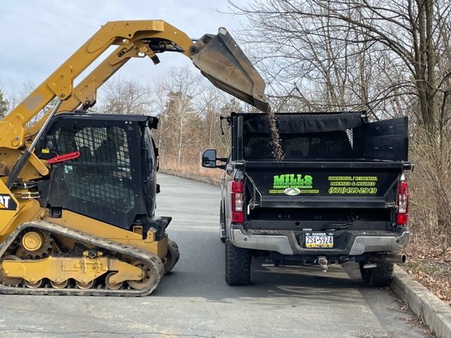 Mills Property Maintenance CAT